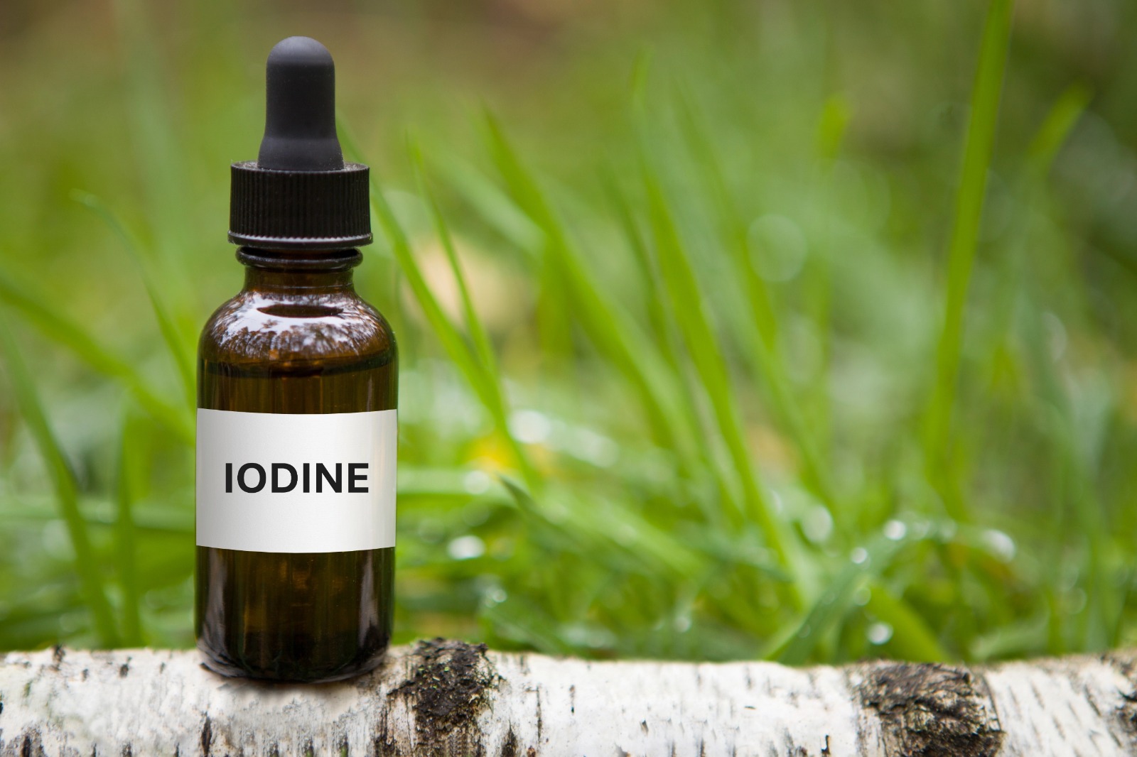 whatsapp image 2026 01 22 at 09.07.24 (1)