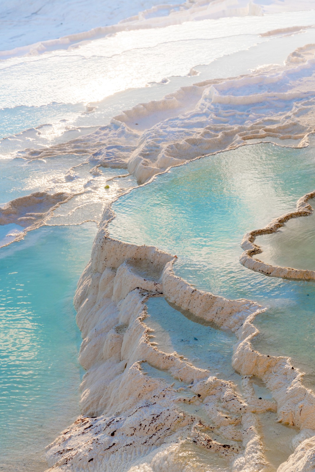 whatsapp image 2026 01 22 at 09.07.25