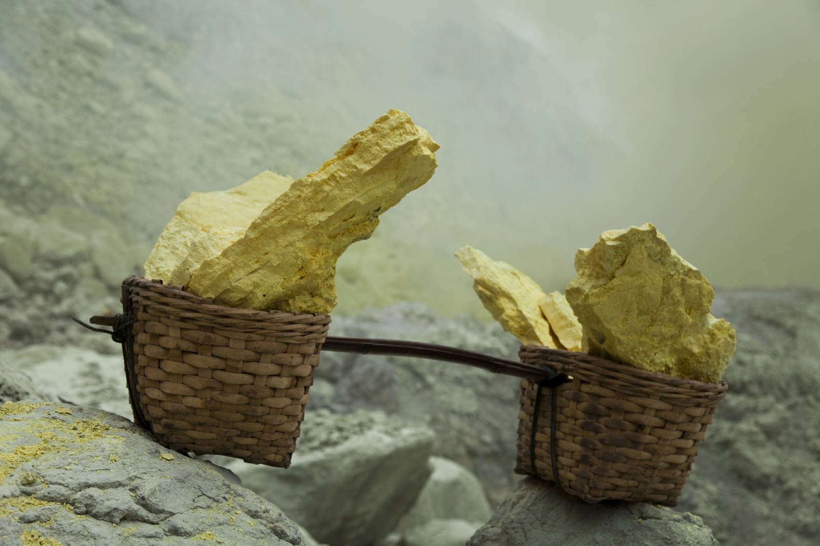 whatsapp image 2026 01 29 at 07.32.00